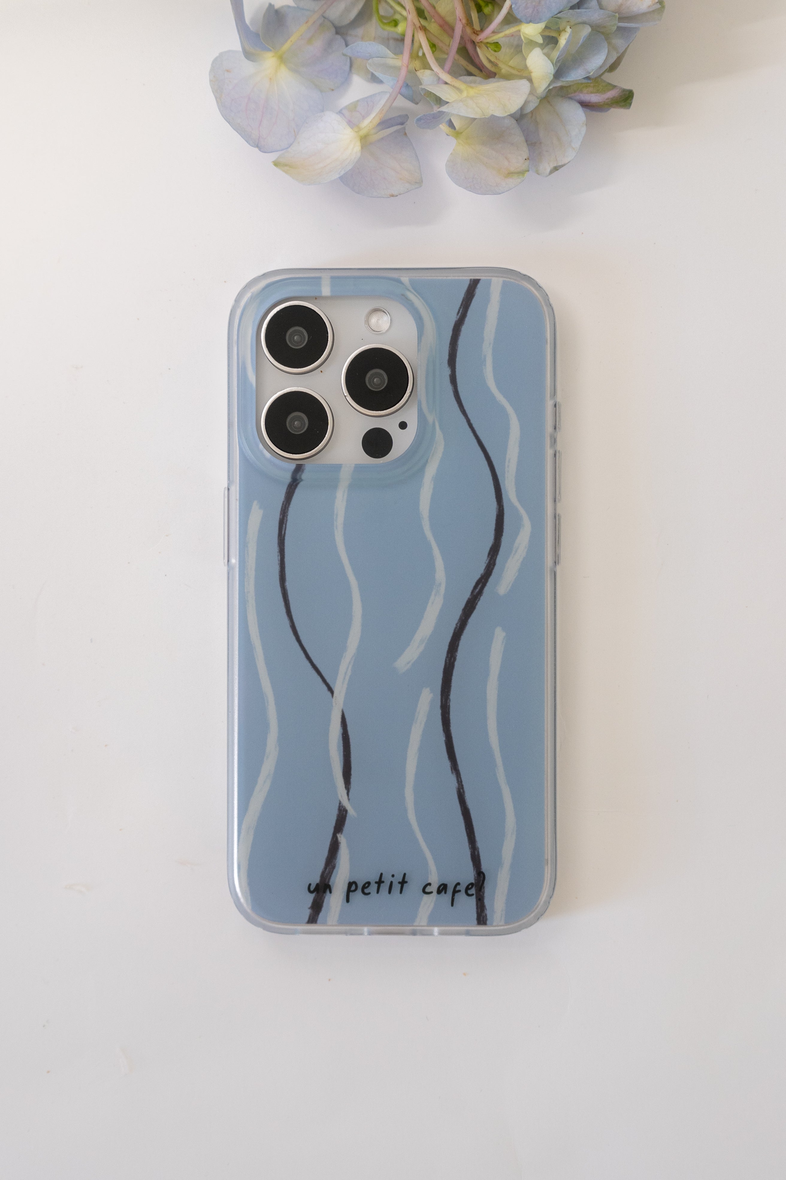 Glacier Coast Phone Case