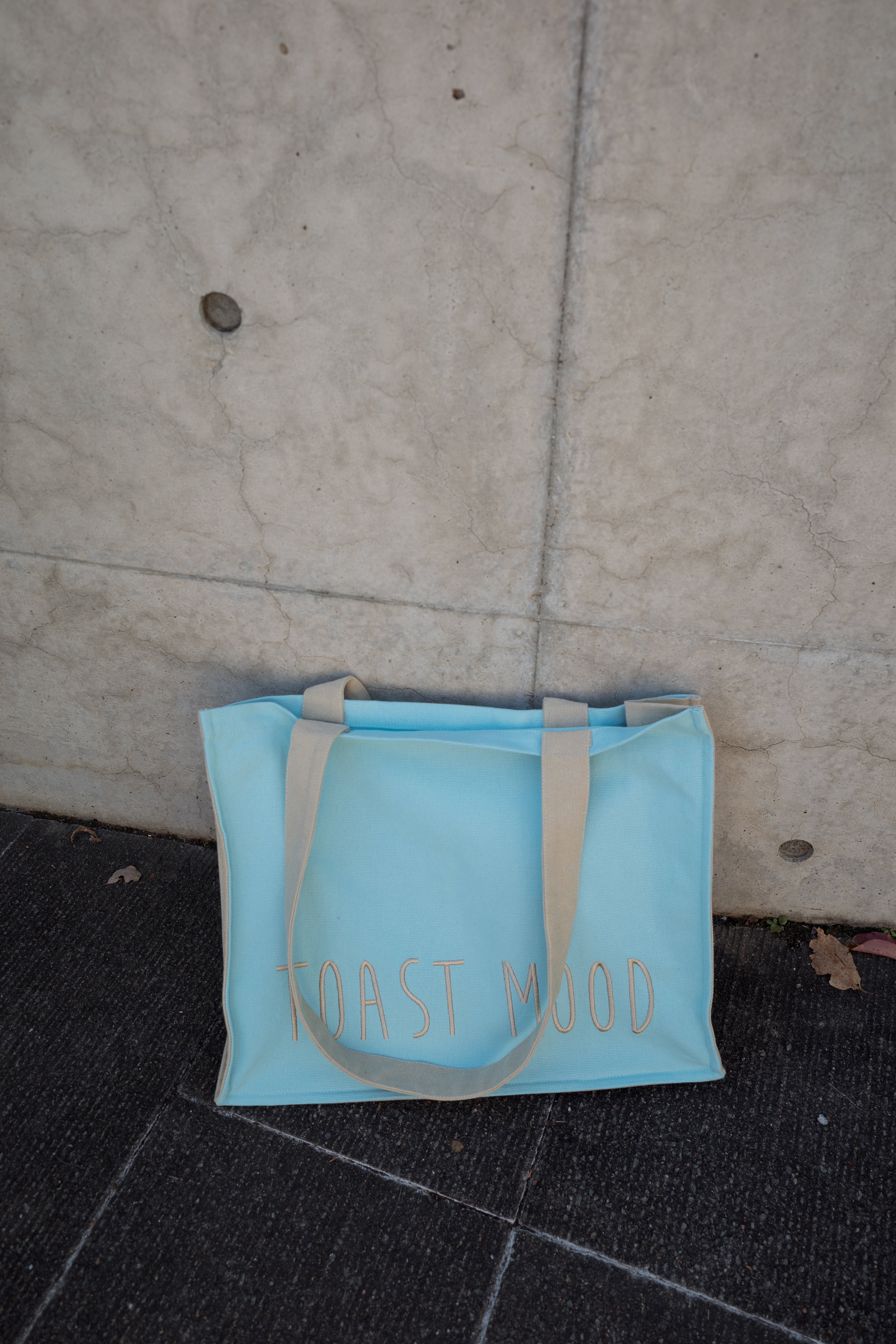 Blue Embroidered Shoulder Bag