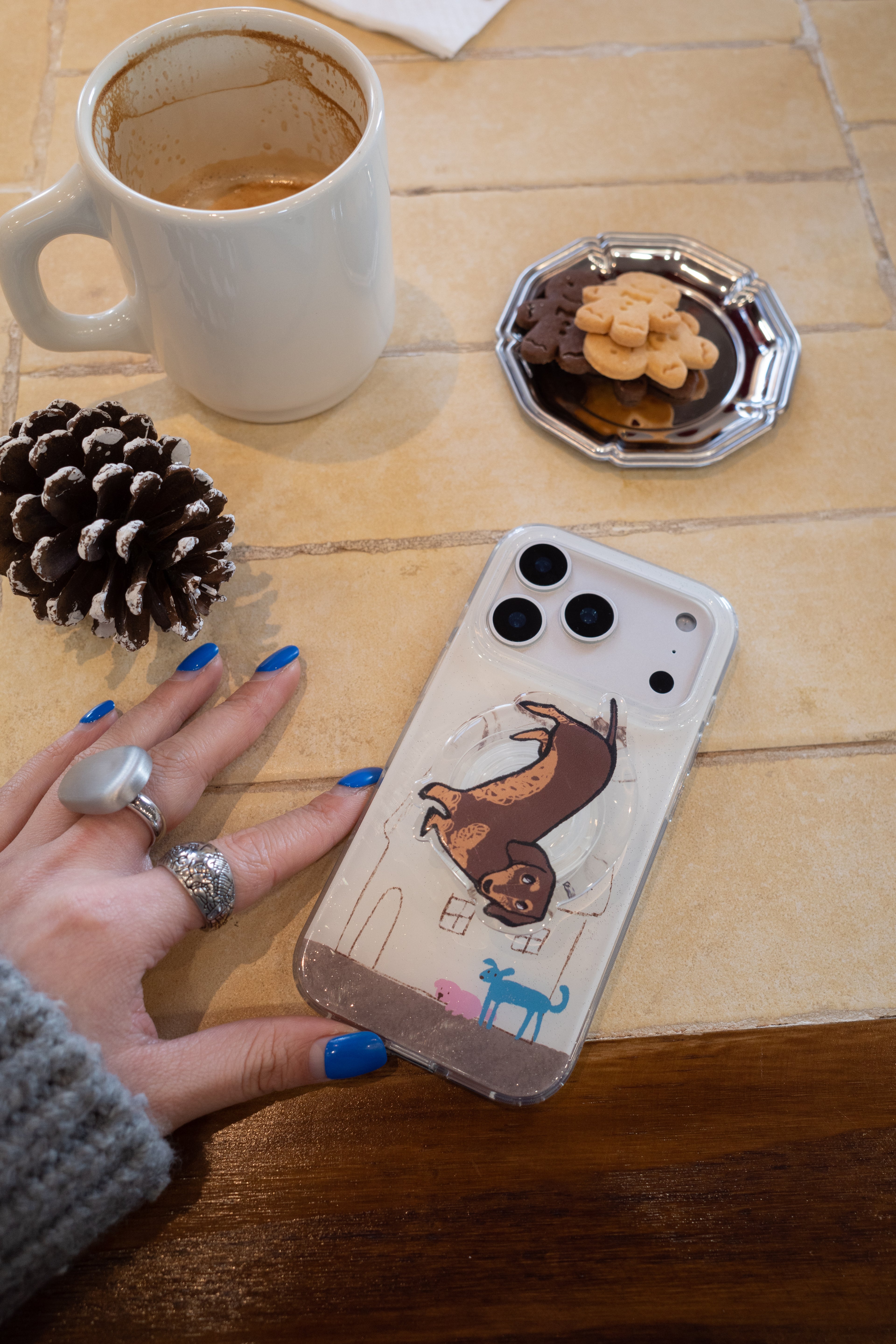Winter Pact Phone Case