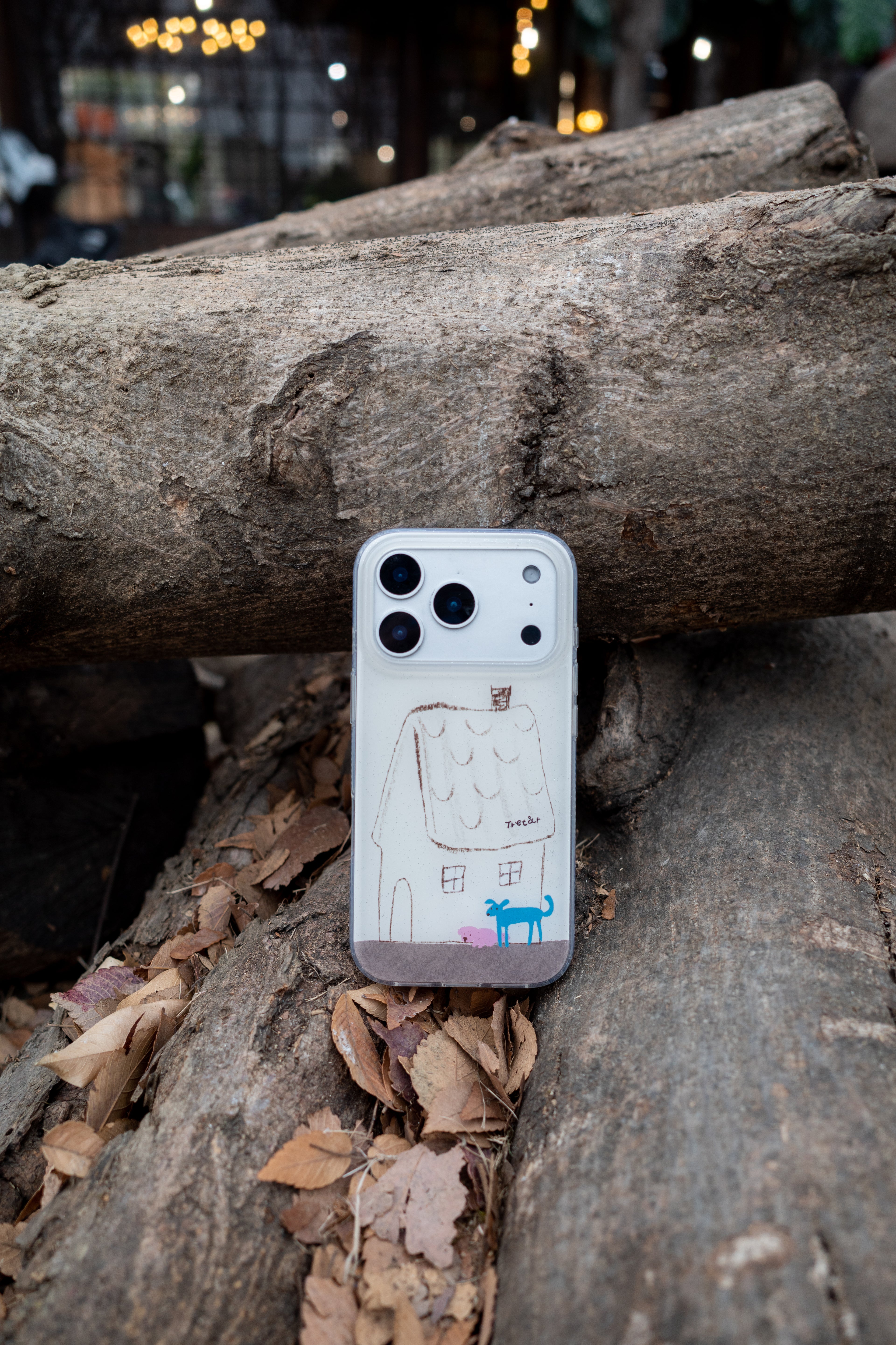 Winter Pact Phone Case